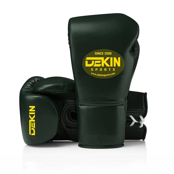 training boxing gloves